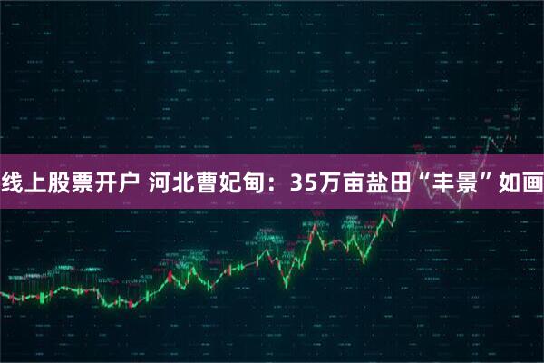 线上股票开户 河北曹妃甸：35万亩盐田“丰景”如画